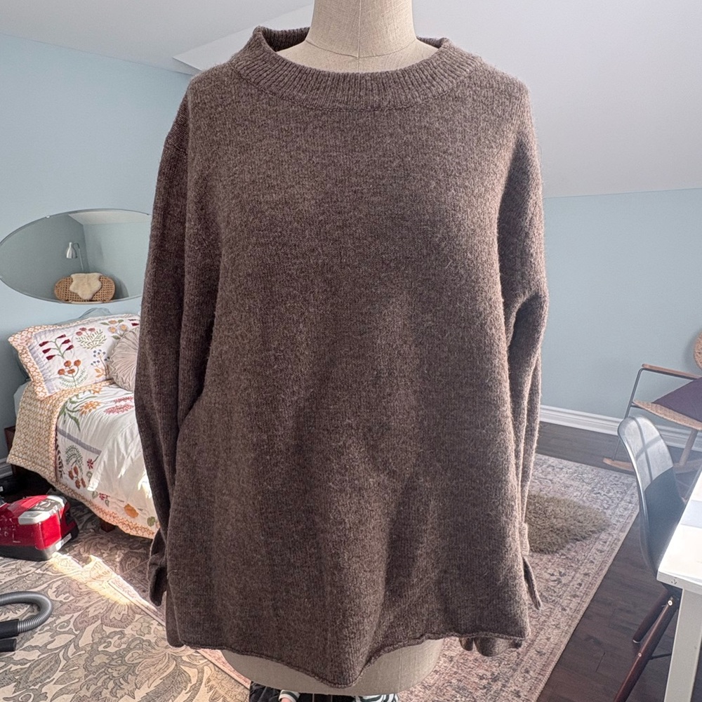 Zara Brown Crew Neck Sweater